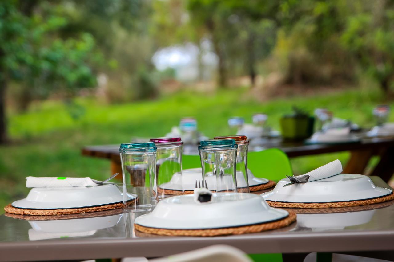 Bushbaby Lodge At Nkonyeni Манзини Экстерьер фото
